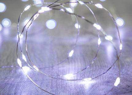 100 LED Silver Copper Fairy Lights - Battery Operated
