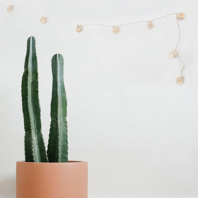 10 LED Rattan Ball String Lights - Battery Operated