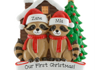 2 Raccoons
