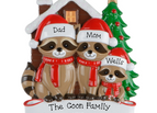 3 Raccoons