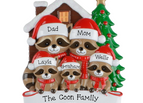 5 Raccoons