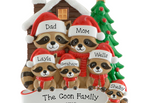 6 Raccoons