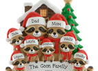 8 Raccoons