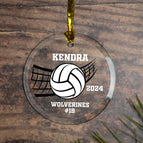 Volleyball & Net