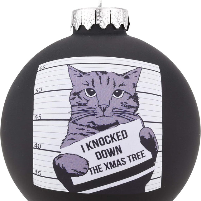 Cat Mugshot Keepsake Ornament