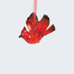 Collection image for: Acrylic Ornaments