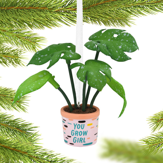personalized hallmark plant lady christmas ornament – Christmas ornament, holiday tree decoration or gift