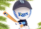 Tampa Bay Rays