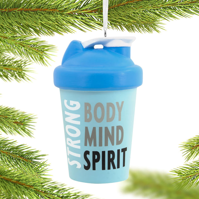 personalized hallmark fitness shaker christmas ornament – Christmas ornament, holiday tree decoration or gift
