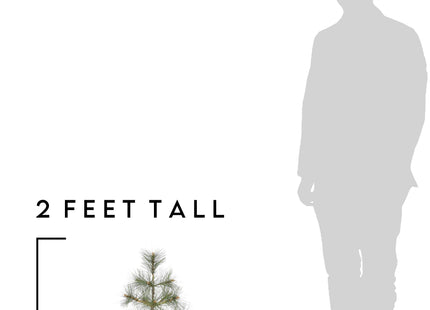 24" Tabletop Mountain Pine Christmas Tree with Burlap Wrapped Base