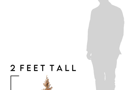 2' Pre-Lit Brown Burlap Base Christmas Tree