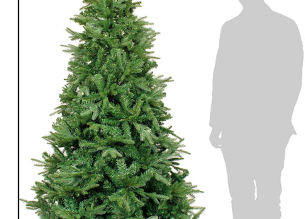 Northern Shasta Fir Full Christmas Tree