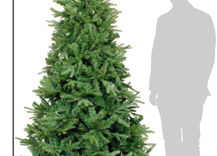 Northern Shasta Fir Full Christmas Tree