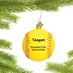 Collection image for: Baseball & Softball Ornaments