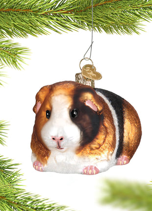Pet Guinea Pig Ornament  by OLD WORLD CHRISTMAS Ornament
