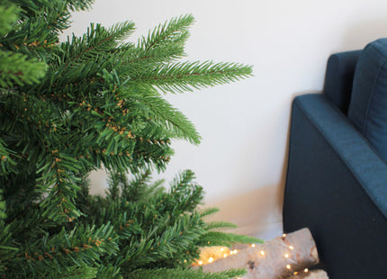 Northern Shasta Fir Full Christmas Tree