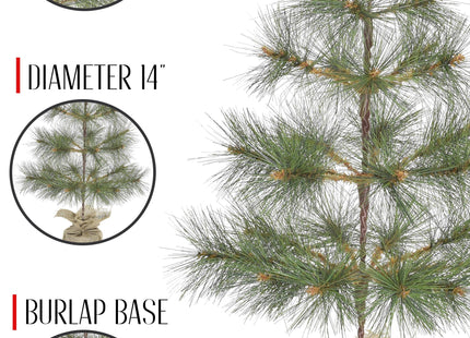 24" Tabletop Mountain Pine Christmas Tree with Burlap Wrapped Base