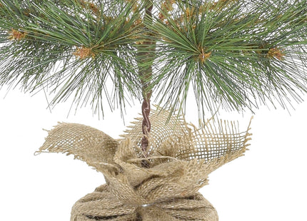 24" Tabletop Mountain Pine Christmas Tree with Burlap Wrapped Base