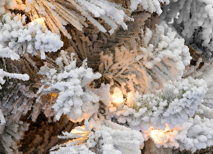 Pre-lit Slim Snow Flocked Atka Christmas Tree with Metal Stand and Instant Connect