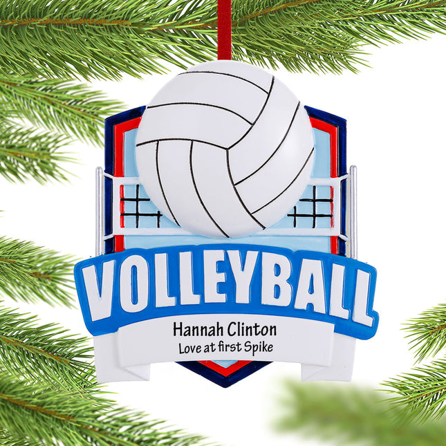 Volleyball Net Ornament