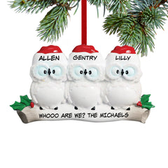 holiday personalized wise owl family of 3 christmas ornament – Christmas ornament, holiday tree decoration or gift