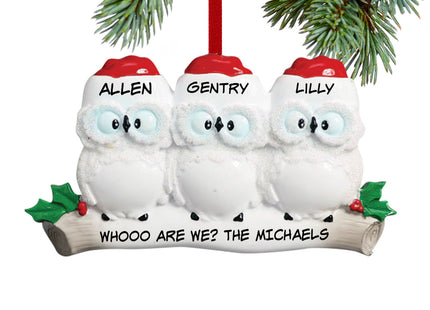 holiday personalized wise owl family of 3 christmas ornament – Christmas ornament, holiday tree decoration or gift
