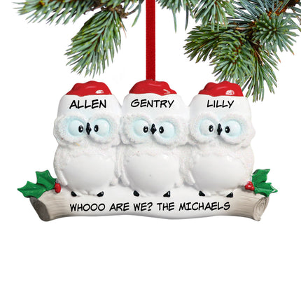 holiday personalized wise owl family of 3 christmas ornament – Christmas ornament, holiday tree decoration or gift