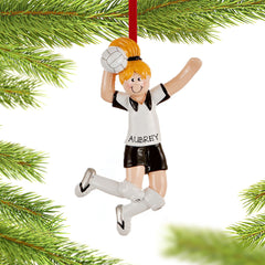 Collection image for: Volleyball