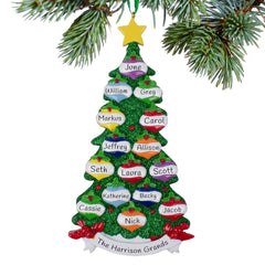 Collection image for: Family Of 15 Ornaments