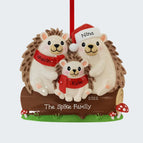 3 Family Members