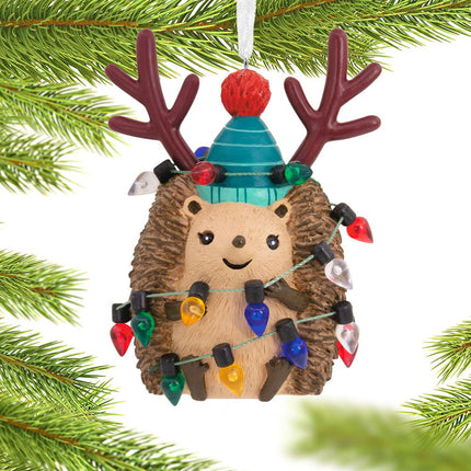Hedgehog Ornament created by HALLMARK and designed by Ornament Shop
