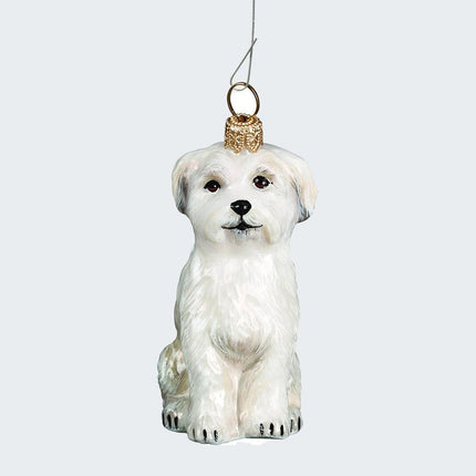 Maltese Sitting Puppy Cut Glass Christmas Ornament created by JOY TO THE WORLD and designed by Ornament Shop