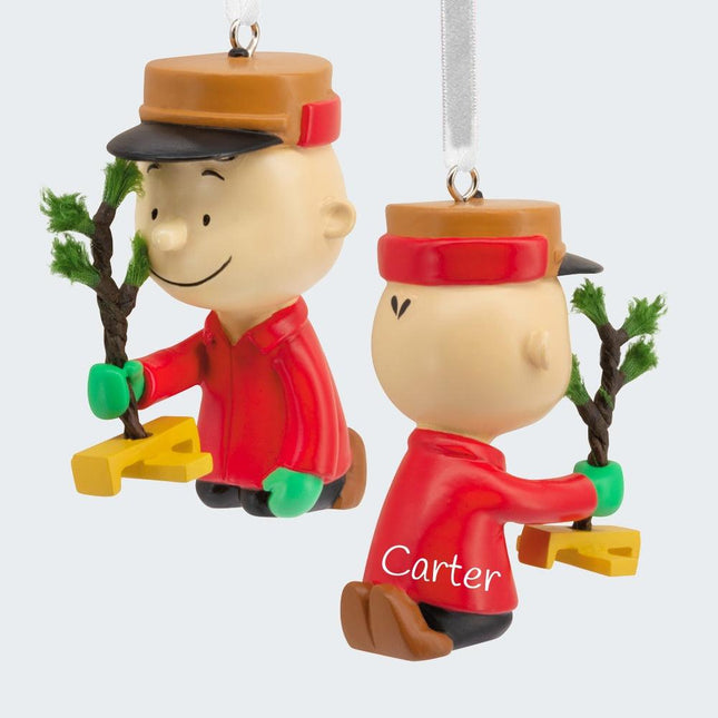 Peanuts Charlie Brown With Tree Ornament created by HALLMARK and designed by Ornament Shop